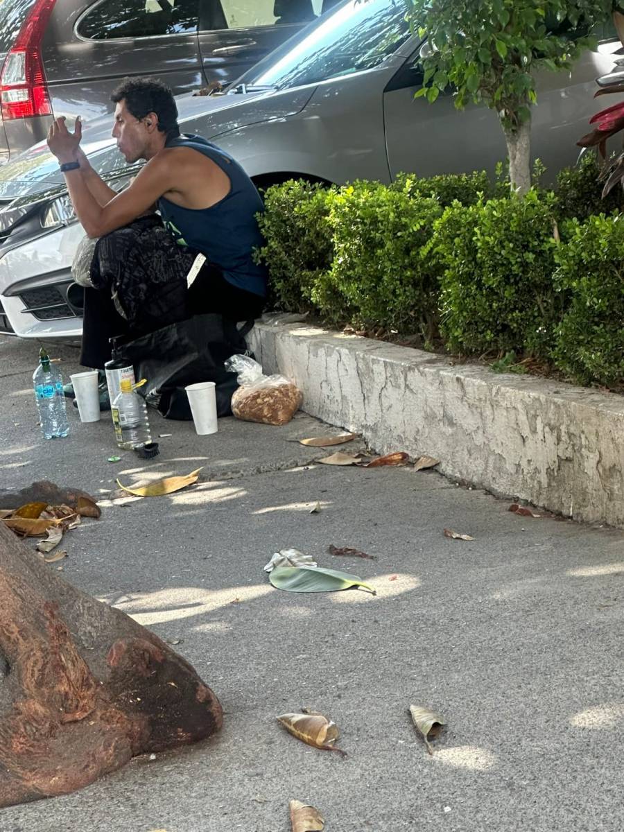 Advierte especialista sobre transición de México hacia un país consumidor de drogas