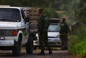 Gripe aviar: México también suspende importaciones de pollo brasileño