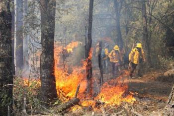 Ejército mexicano sofoca tres incendios forestales en Veracruz con aplicación del Plan DN-III-E