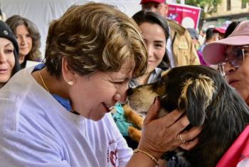 Perritos rescatados buscan hogar durante la final Toluca vs América gracias a campaña “La mejor jugada es adoptar”