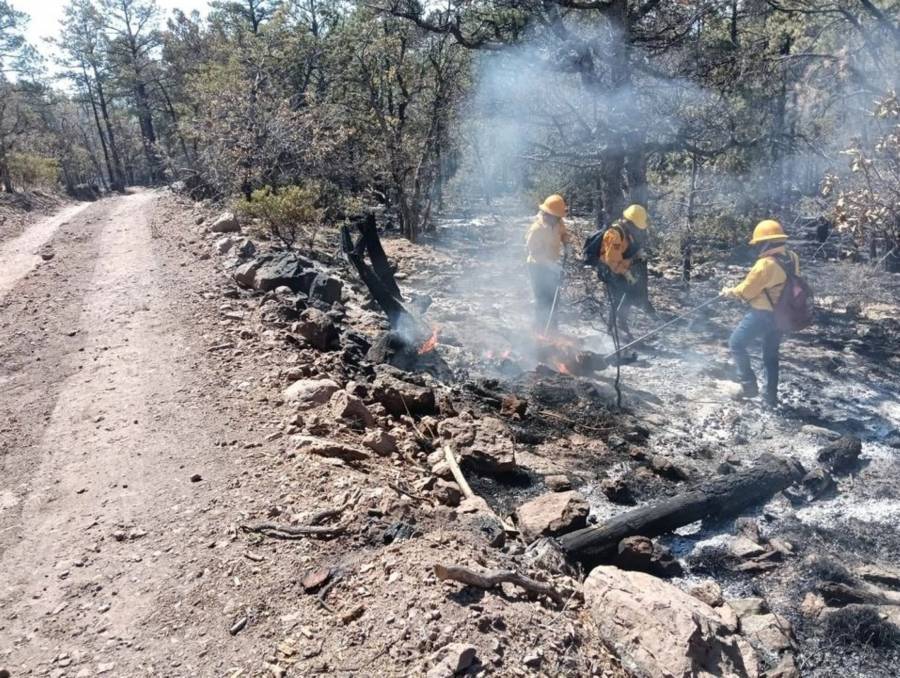 Incendios forestales arrasan la Sierra Tarahumara: 27 focos activos y un brigadista herido