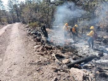 Incendios forestales arrasan la Sierra Tarahumara: 27 focos activos y un brigadista herido