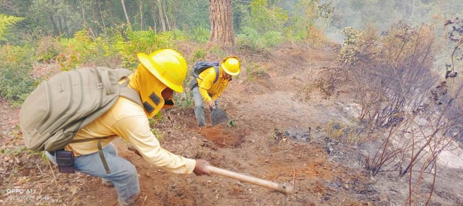 Gobierno estatal combate 301 incendios forestales