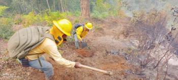 Gobierno estatal combate 301 incendios forestales