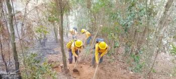 Puebla suma 301 incendios forestales en lo que va del 2025