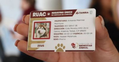 Registro Único de Animales de Compañía: lo que necesitas saber