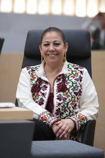 Ley sobre ciberasedio no limita libertad de expresión: Laura Artemisa