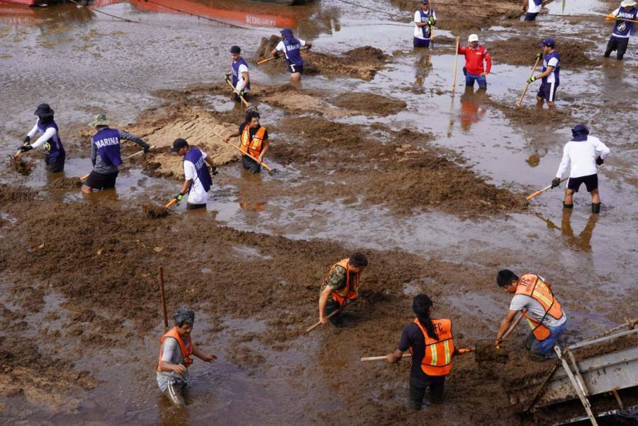 Preocupa presencia de sargazo en costas de Yucatán; pescadores temen impacto en turismo y pesca