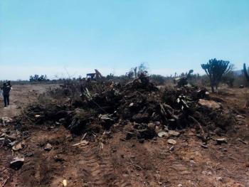 Condenan a prisión a dos personas que dañaron Área Natural Protegida en Puebla