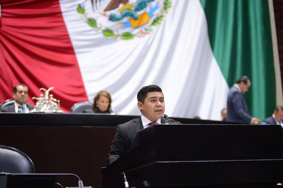 Partido Verde propone sancionar la crianza y venta ilegal de mascotas
