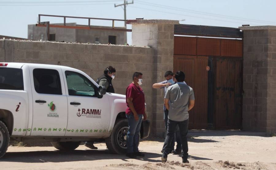Hallan 381 cadáveres acumulados sin procesar en crematorio de Ciudad Juárez