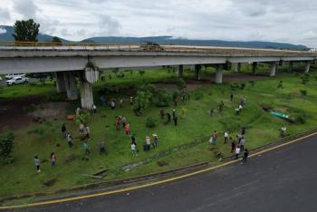 Ariadna Ayala encabezó limpieza y reforestación en el puente Cantarranas