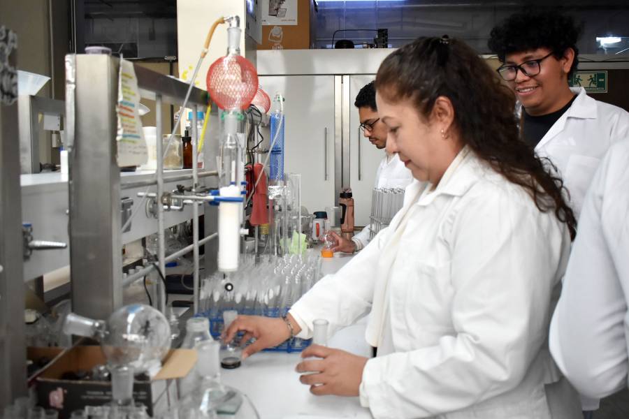 Investigadora de BUAP patenta compuesto anticáncer derivado del barbasco, planta endémica de México