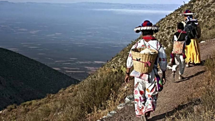 Ruta sagrada wixárika es inscrita como Patrimonio Mundial por la Unesco