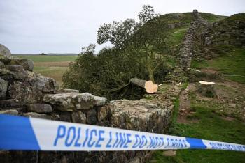 Dos hombres fueron condenados a cuatro a&ntilde;os de prisi&oacute;n por talar el &aacute;rbol m&aacute;s famoso de Inglaterra