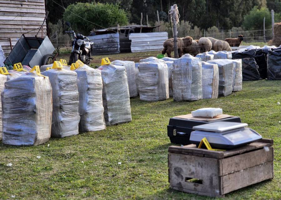 Incautan m&aacute;s de dos toneladas de coca&iacute;na en Uruguay
