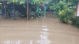 Onda tropical 20 causa muerte e inundaciones en Veracruz