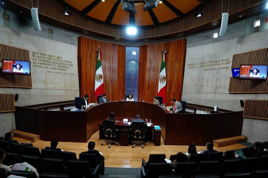 Tribunal Electoral ordena al INE reconocer triunfos anulados de 12 candidatos