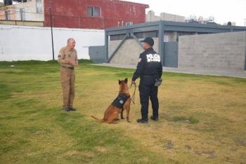 Unidad Canina K9 recibe certificación internacional