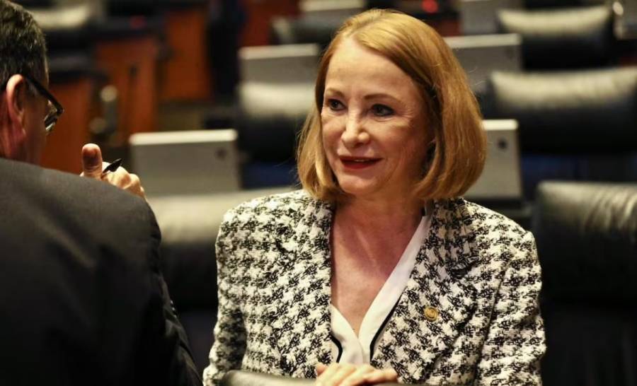 Morena perfila apoyo a Laura Itzel Castillo para presidir el Senado