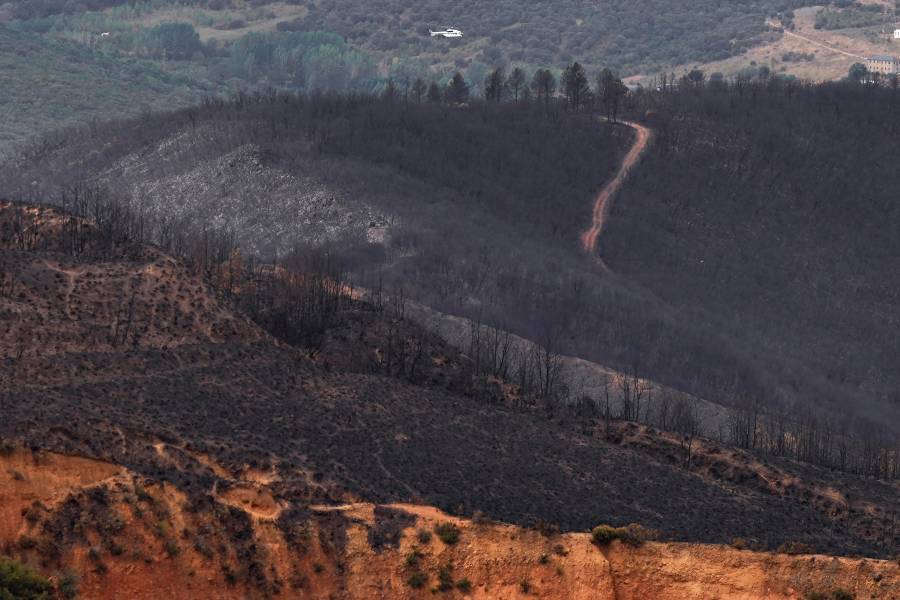 Pedro S&aacute;nchez reconoce que la prevenci&oacute;n de incendios en Espa&ntilde;a fue 