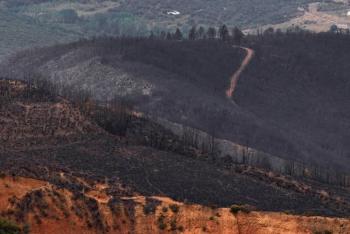Pedro S&aacute;nchez reconoce que la prevenci&oacute;n de incendios en Espa&ntilde;a fue 