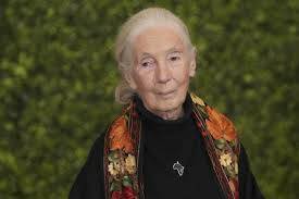 Muere reconocida experta en primates Jane Goodall a los 91 a&ntilde;os