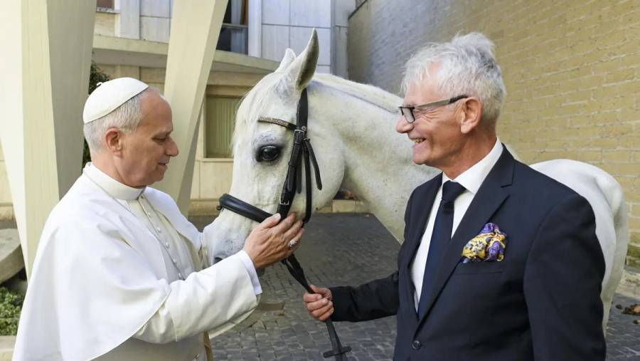 Papa Le&oacute;n XIV recibe caballo &aacute;rabe pura sangre como regalo ben&eacute;fico