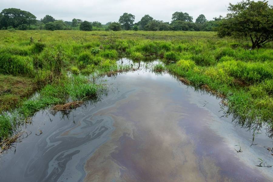 Pemex intensifica esfuerzos de limpieza ambiental del r&iacute;o Pantepec en Veracruz