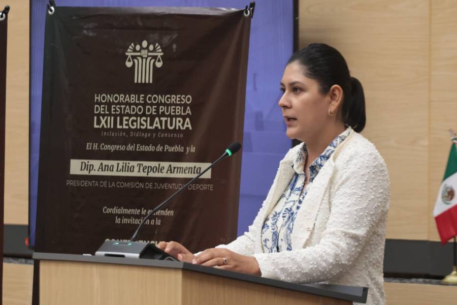 La diputada Ana Lilia Tepole present&oacute; un exhorto para implementar un sistema digital de protecci&oacute;n a mujeres