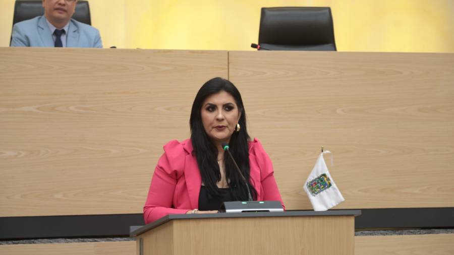 Promueve diputada Guadalupe Vargas iniciativa para fortalecer protecci&oacute;n civil en municipios