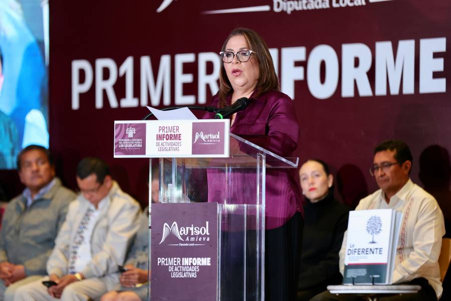 Destaca diputada Soledad Amieva trabajo legislativo para impulsar la inclusi&oacute;n