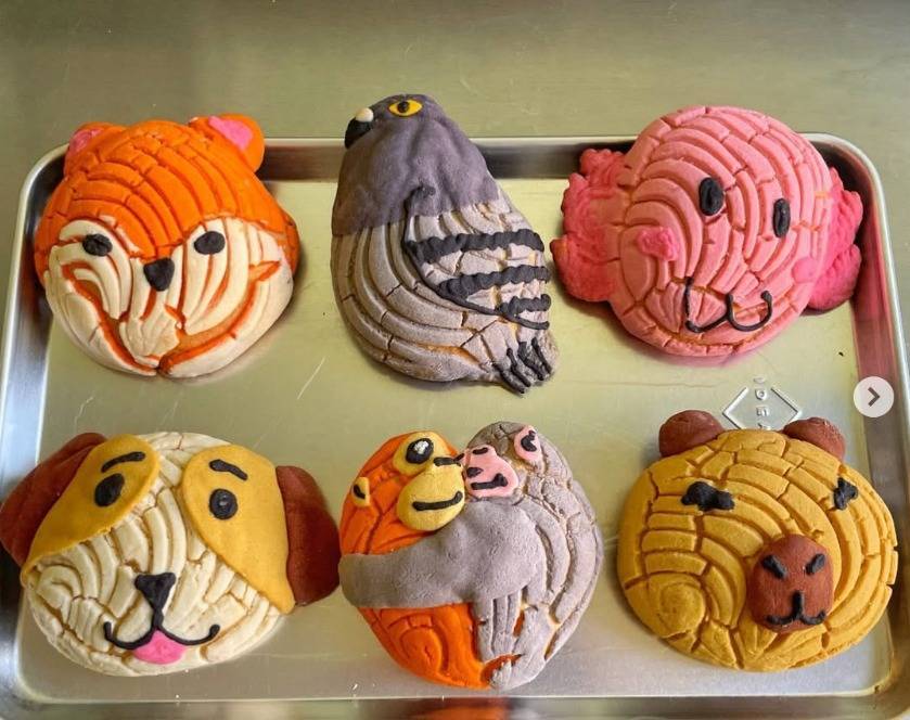 Panader&iacute;a Bestcake MX lanza la “Conchanguito” inspirada en el changuito viral