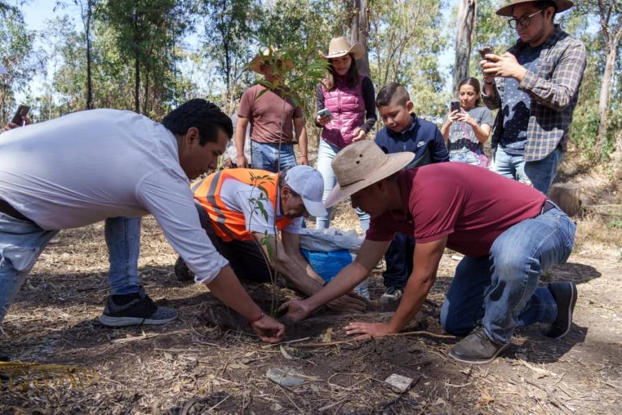 Refuerza gobierno de Pepe Chedraui acciones de reforestaci&oacute;n en la capital poblana