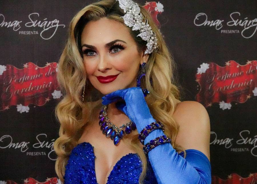 Filtraci&oacute;n del rostro del hijo de Aracely Ar&aacute;mbula genera molestia en la actriz