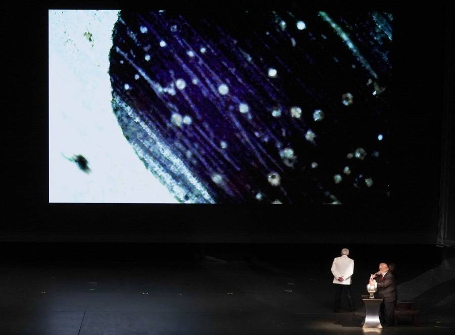 Avances cient&iacute;ficos en M&eacute;xico destacan en biotecnolog&iacute;a y astrof&iacute;sica