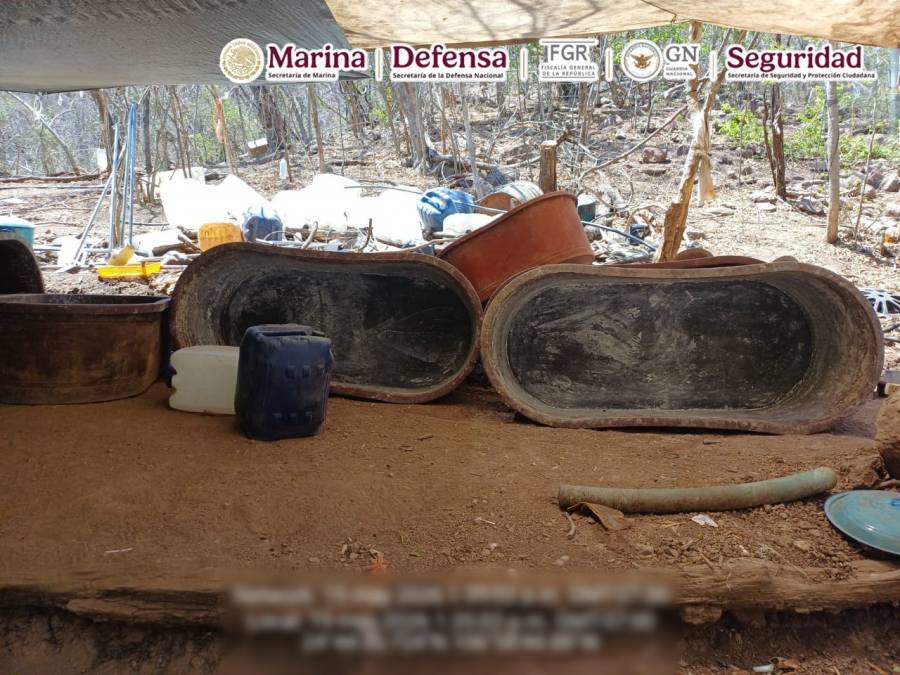 Desmantelan tres centros de producci&oacute;n de drogas sint&eacute;ticas en Sinaloa