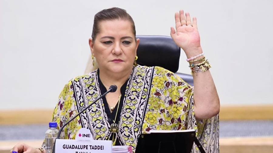 Taddei est&aacute; entendiendo mal la iniciativa para evitar narcopol&iacute;ticos, afirma Sheinbaum