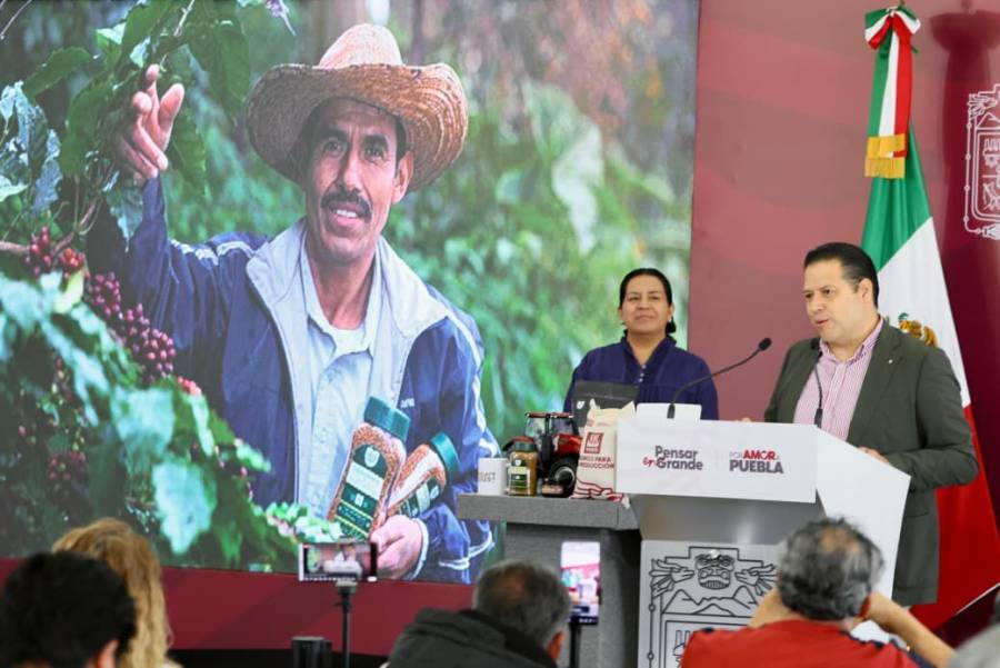 Puebla lidera cafeticultura nacional y fortalece soberanía alimentaria con impulso del Gobierno Estatal