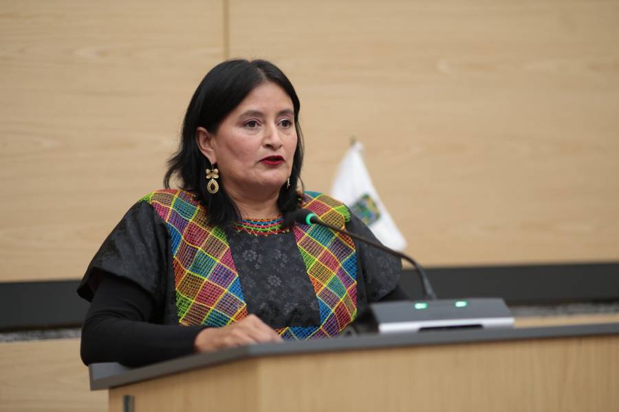 Impulsa diputada Esther Mart&iacute;nez iniciativa para garantizar consulta previa a personas con discapacidad en Puebla