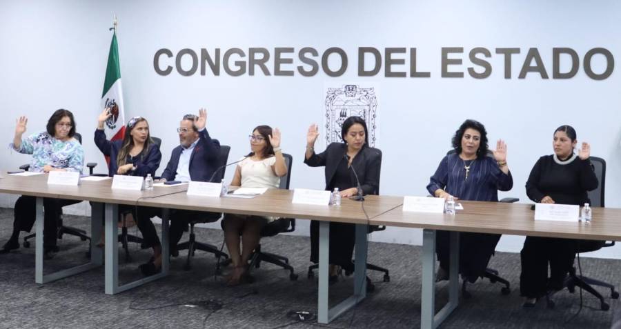Avala Comisi&oacute;n del Congreso exhorto para fortalecer acciones y programas a favor de las personas adultas mayores
