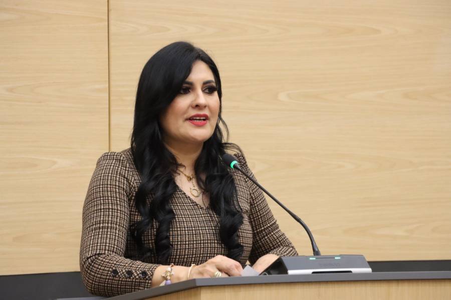 Propone diputada Delfina Pozos aumentar sanciones por robo y abuso de confianza contra personas ind&iacute;genas y afromexicanas