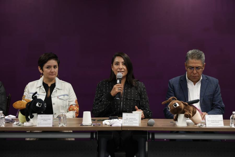 Desde el Congreso del Estado, invitan a vivir la experiencia del avistamiento de luci&eacute;rnagas