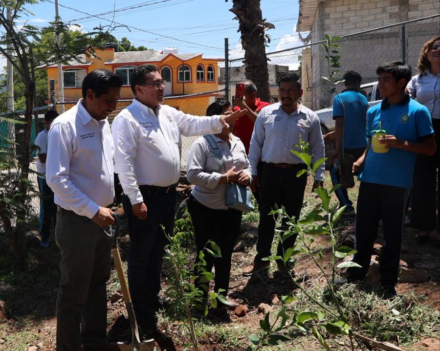 Diputado P&aacute;vel Gaspar promueve jornadas de reforestaci&oacute;n en San Juan Epatl&aacute;n y Chiautla de Tapia