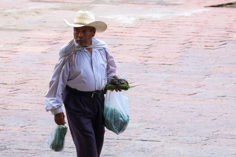 CONDUSEF impulsa la trasparencia en seguros y reconoce acciones en favor de las personas adultas mayores