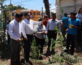 Diputado P&aacute;vel Gaspar promueve jornadas de reforestaci&oacute;n en San Juan Epatl&aacute;n y Chiautla de Tapia