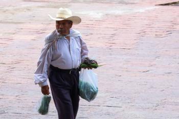 CONDUSEF impulsa la trasparencia en seguros y reconoce acciones en favor de las personas adultas mayores