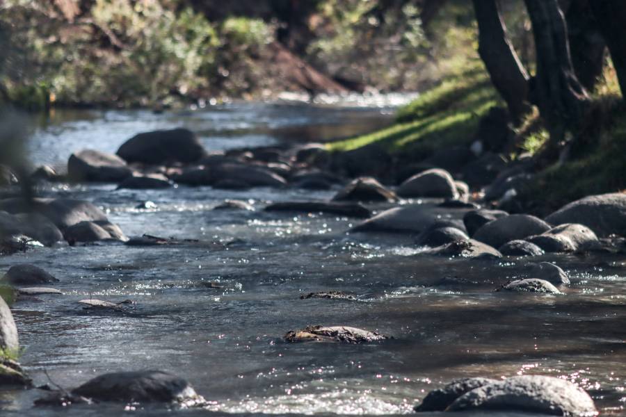 UPMP busca convertirse en sede de un Centro de Monitoreo del R&iacute;o Atoyac