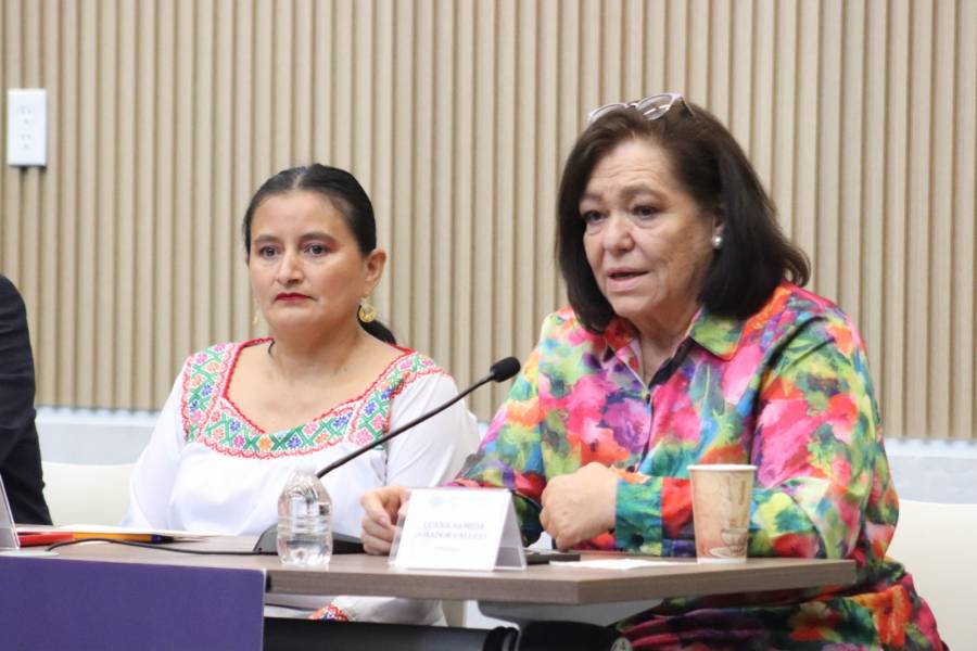Impulsa diputada Luana Armida Amador acciones legislativas para fortalecer la accesibilidad en espacios p&uacute;blicos