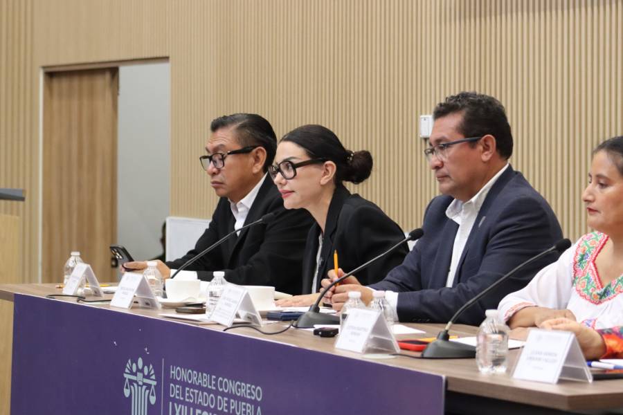 Propone diputada Nayeli Salvatori regulaci&oacute;n de estacionamientos
